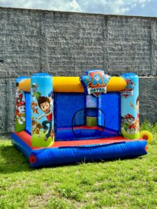 Piscina de bolinhas Patrulha Canina (3)